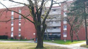image-64728714