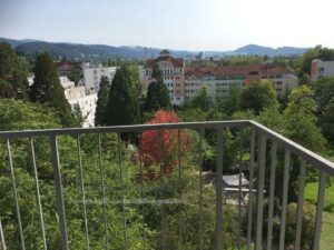 image-64741427