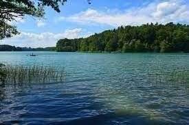 image-64766734