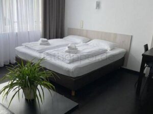 image-64785581