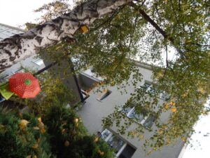 image-64816303