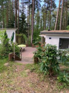 image-64819817