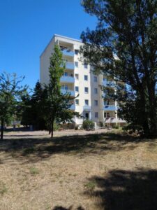 image-64824728