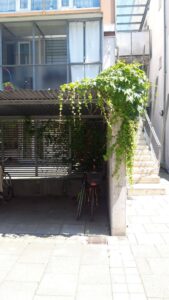 image-64879275