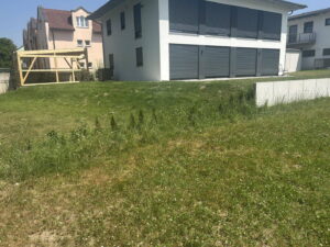 image-64997132