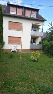 image-65017583