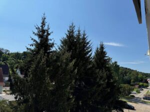 image-65051701