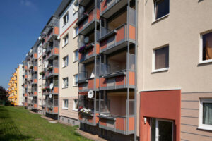 image-65060000