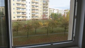 image-65083868