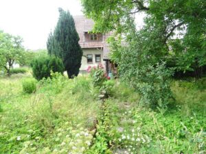 image-65090504