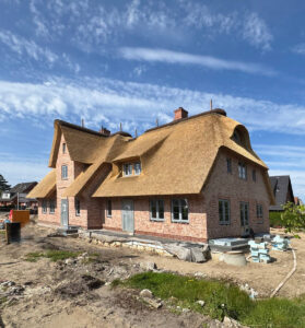 image-65094646
