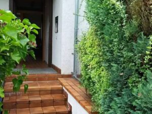 image-65106365
