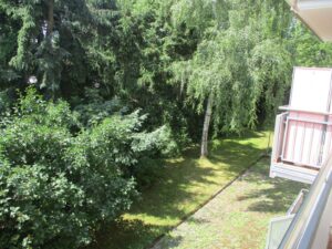 image-65142835