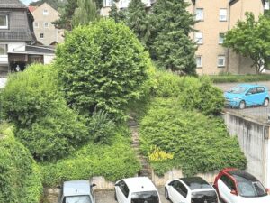 image-65153135