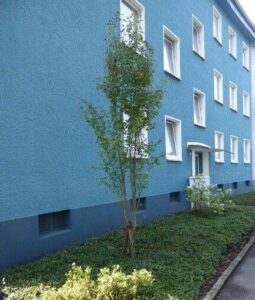 image-65197886