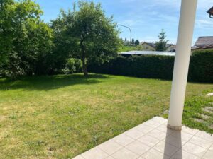 image-65232068