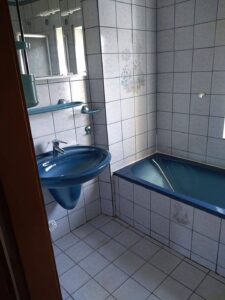 image-65245777