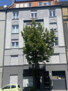image-65248705