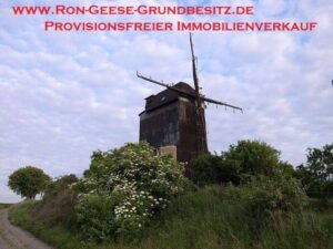 image-65278726