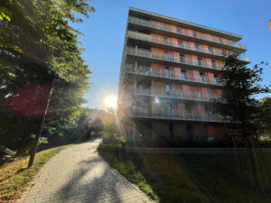 image-65324290