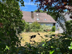 image-65329538