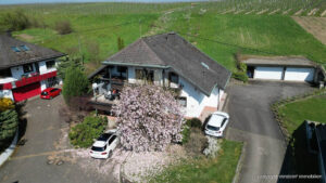 image-65341772