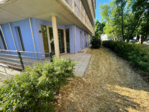 image-65343570