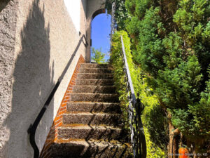 image-65428118