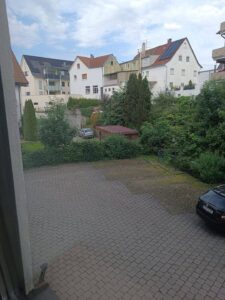 image-65437493