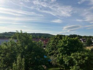 image-65437469