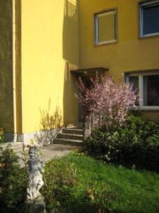 image-65466857