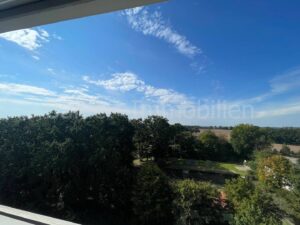 image-65471494
