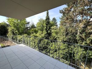 image-65532657