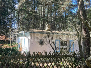 image-65599957