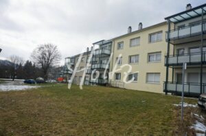 image-65659763