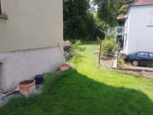 image-65702244