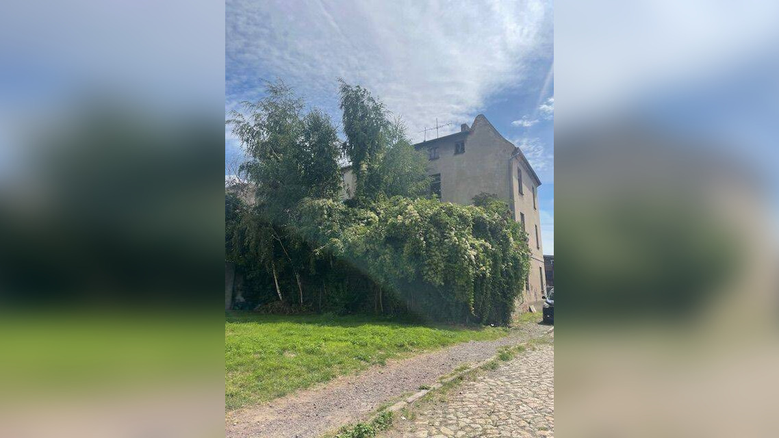 image-66735682