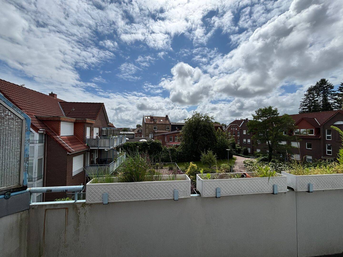 image-66738687