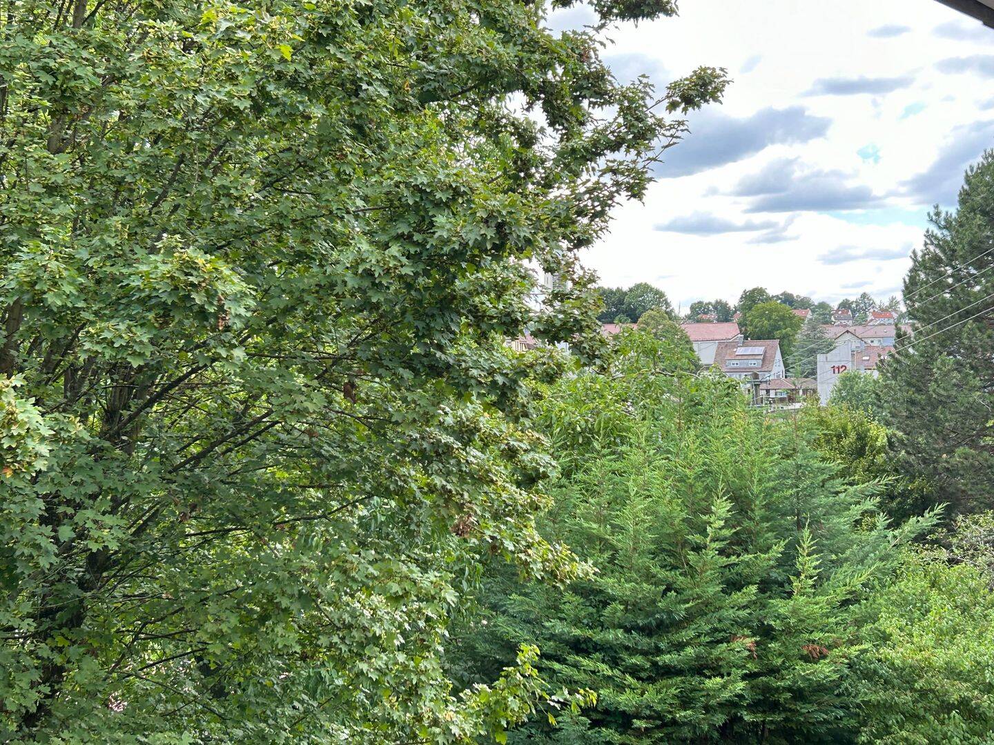 image-66771022