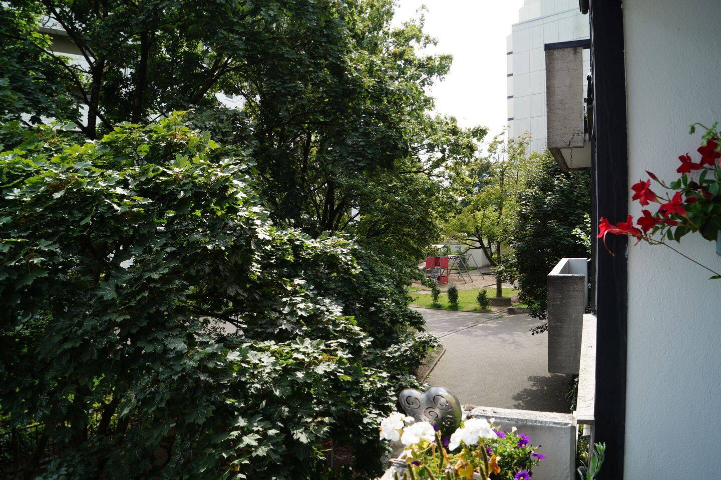 image-66785608