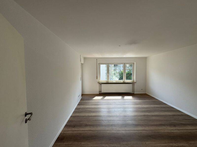 image-66795647