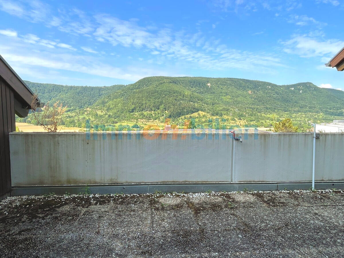 image-66796204