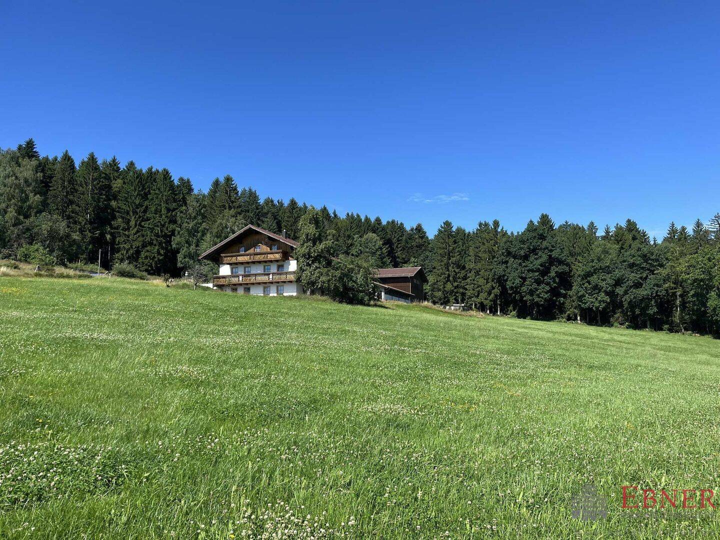 image-66815476