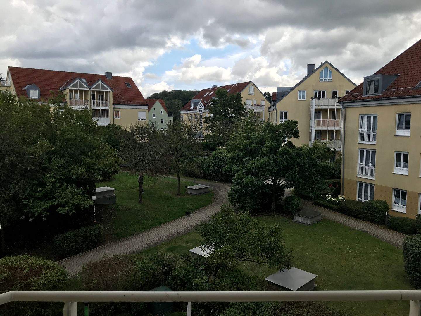 image-66846620