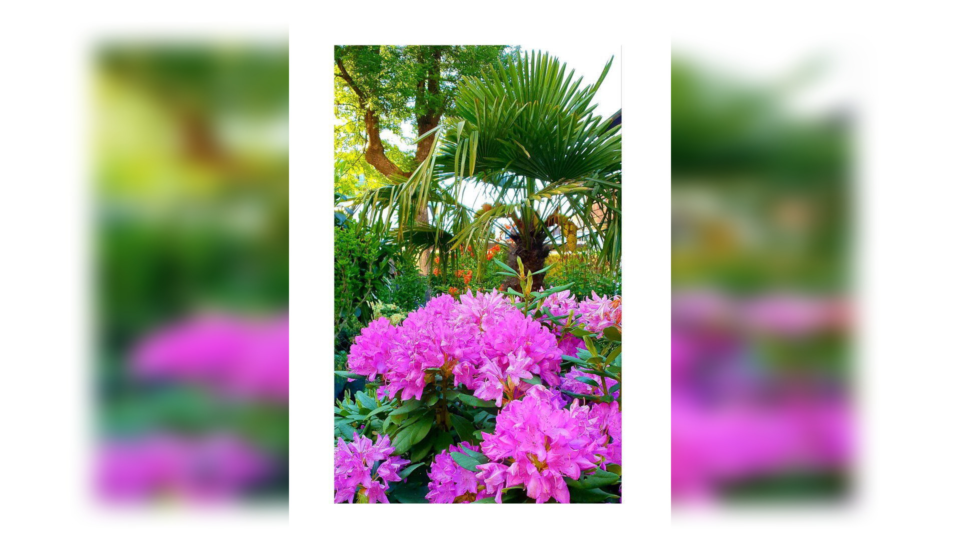 image-66847616