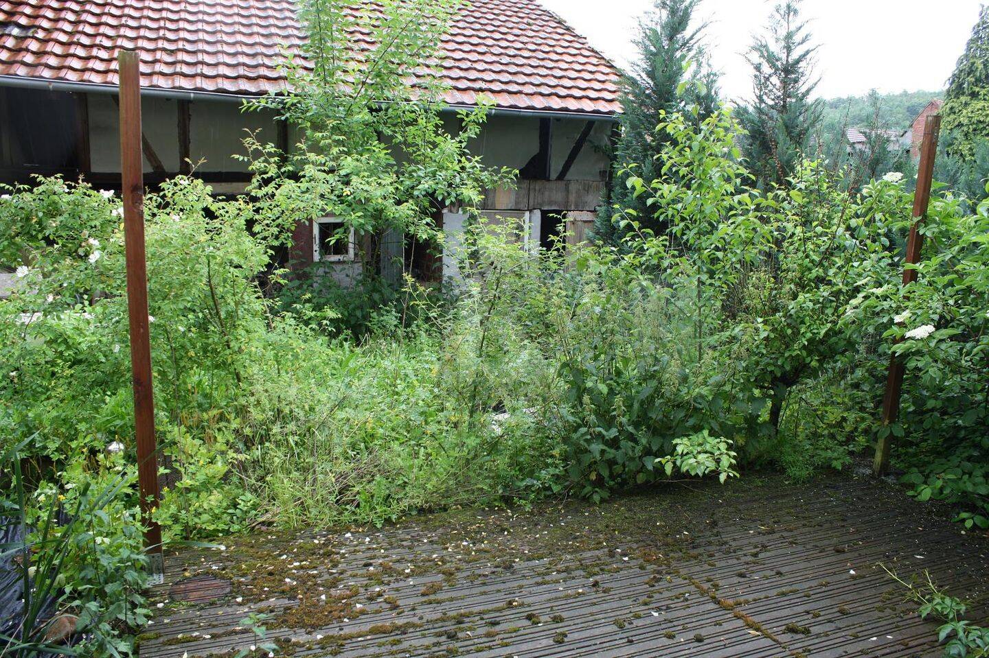image-66859938