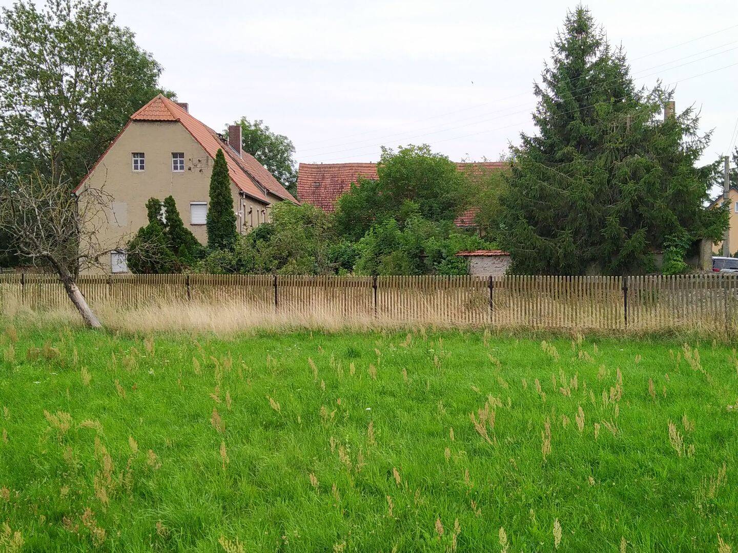 image-66871764