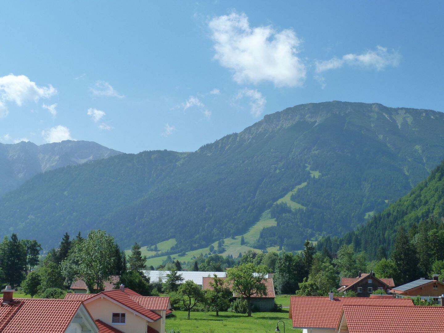 image-66904607