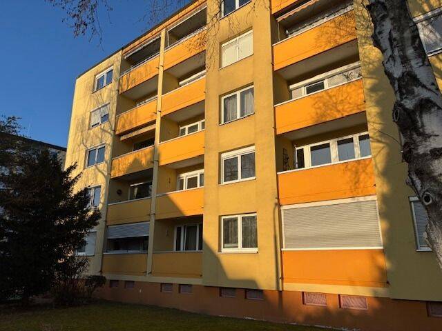 image-66916478
