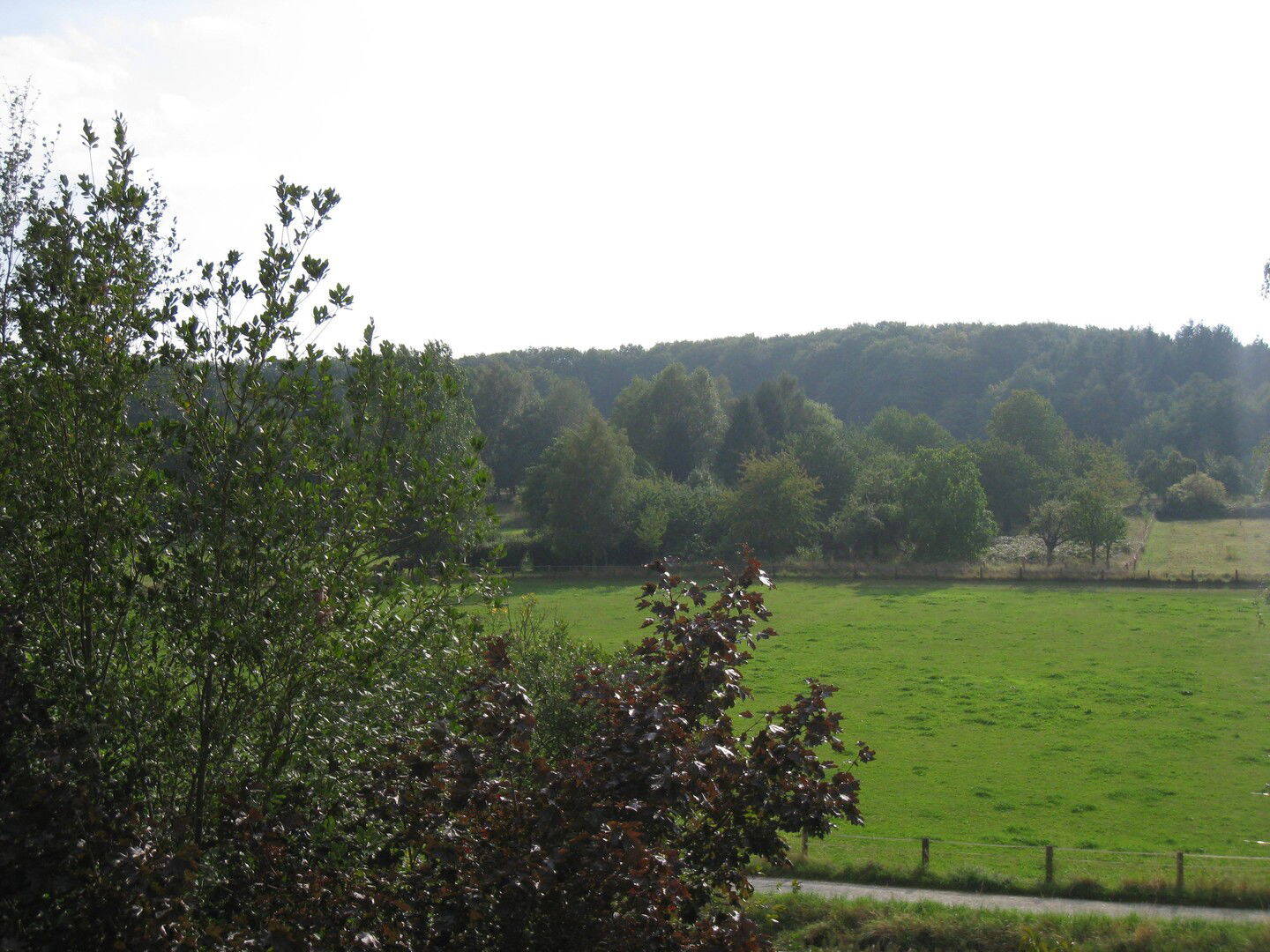 image-66917110